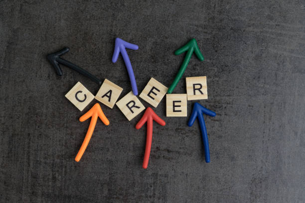 
        Career
    